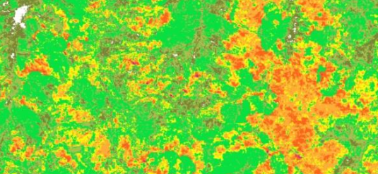 扶绥农科新城稻纵卷叶螟分布热力图